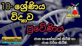 ප්‍රවේණිය | 10 වසර විද්‍යාව | ජාන වර්ග කිරීම හා සංකේතවත් කිරීම | praveeniya  | science grade 10