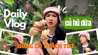 Viên Vibi BẬT MÍ các Bí Mật Về Lưỡi Mèo Non Trong Củ Hũ Dừa Bạn Chưa Biết!