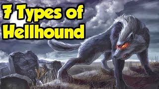 What Are Hellhounds? - 7 Types of Hellhound From Great Britain \u0026 The Rest of Europe