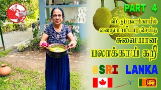 Sri Lankan Part 4// Kiri Kos | කිරි කොස් ව්‍යංජනය | பலா பால் கறி