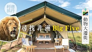 找尋非洲Big Five $6,000一晚草原Glamping有幾豪？ #動物大遷徙 #籽想旅行─果籽 香港 Apple Daily─原刊日期：20191101