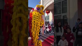 Lion Dance 醒狮文化 台上一分钟台下十年功   非物质文化  民俗文化