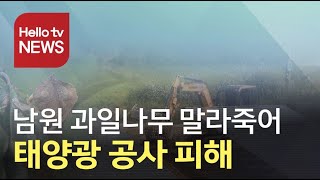 남원 과일나무 고사 피해 태양광 공사 영향 논란