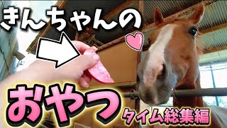 食べる事が大好きな引退競走馬きんちゃんのおやつタイムをまとめて動画にしてたら…可愛すぎました【ツルマルボーイ様のシモベ】