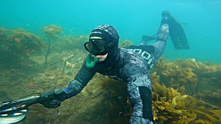 Spearfishing New Zealand Volcano. What's Underwater?