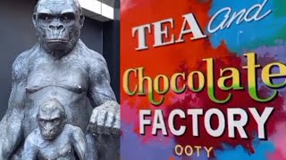 Chocolate Factory OOTY / சாக்லேட் தொழிற்சாலை ஊட்டி / தமிழ்காதலன் / Tamil Kadhalan / Moorthy Devaraj