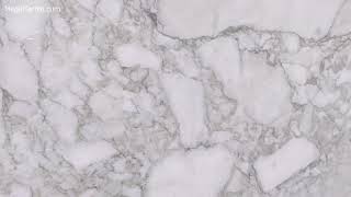 Arabescato Vagli Marble Slab 3cm Polished