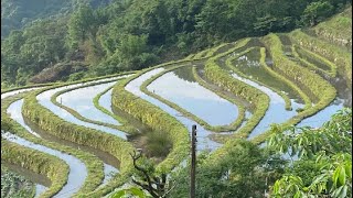 新北石門-嵩山梯田 2023.06