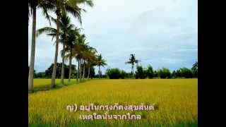 กระท่อมรัก    สบสันต์ + วิไลวรรณ