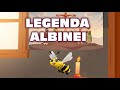 Legenda albinei - poveste - desene animate