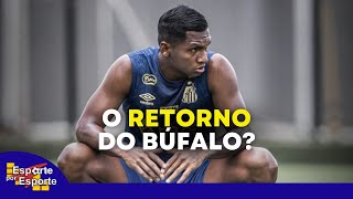 SANTOS PODE TER RETORNO DE MORELOS | MAIS UM PROBLEMA? - LIVE