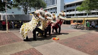 新加坡少竹山国术體育會 Seow Teck San Dragon \u0026 Lion Dance Performances at AMK BLK 728 佛山壇 on 2/06/23