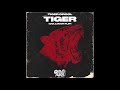 Tiger Drool - Tiger (Collixion Flip) [Promo]