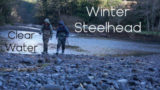 LOW Water Steelhead Fishing!! (ULTRA CLEAR WATER)