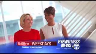 WABC 5pm Team 15