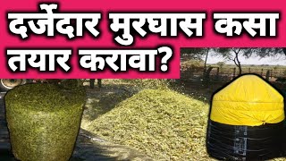 मुरघास कसा तयार करावा | Murghas Kasa Tayar Karava | Silage Making Process