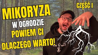 Supermoc grzybów - Dlaczego Mikoryza odmieni Twój ogród! Cz. I