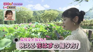 にじパレ どドDo！ 高橋愛さんと楽しむ！はすまつり♪