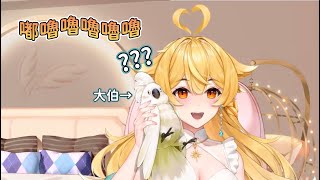 【響Hibiki】2/26 初配信 精華 - 多功能大伯