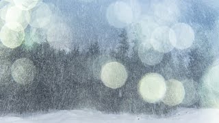 Oberallgäu Winter, Alpen Natur - Impressionen, Zeitraffer, Wintersport Oberstdorf Timelapse