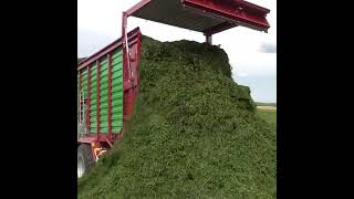 Silage Unloading