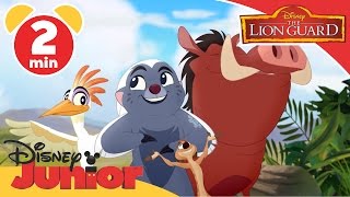 The Lion Guard | Don't Make a Stink Song | Disney Junior UK