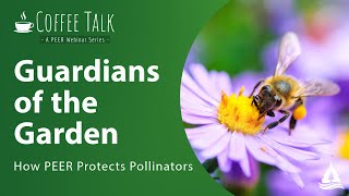 Guardians of the Garden: How PEER Protects Pollinators