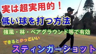 【スティンガー】アゲインストにも負けない！低い球の打ち方【簡単】