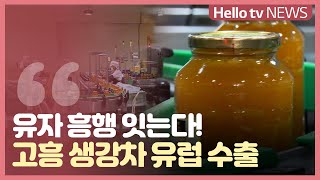 고흥 생강차 ′유럽 첫 수출′...'유자 흥행 잇는다!'