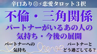 辛口あり😣⚡恋愛タロット３択【不倫・三角関係】パートナーがいるあの人の気持ち、今後の展開　パートナーへの気持ち、二人でどう過ごしているかも占いました。