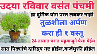 उदया रविवार वसंत पंचमी तुळशीला अर्पण करा हि १ वस्तू,कर्जमुक्ती होईल,सात पिढ्याचे दारिद्र्य नष्ट होईल