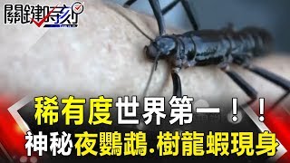 關鍵時刻 20171009節目播出版（有字幕）【精選集】