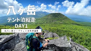 真夏の八ヶ岳を北から南へテント泊で縦走する。Day1【八ヶ岳：北八ヶ岳/天狗岳】