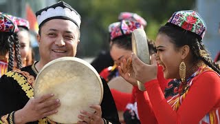 Xinjiang upholds ethnic equality, aimed at common prosperity: Official