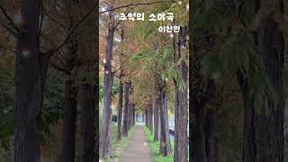 추억의 소야곡🎶이찬원#찬스