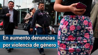 Aumentan denuncias de delitos sexuales contra las mujeres