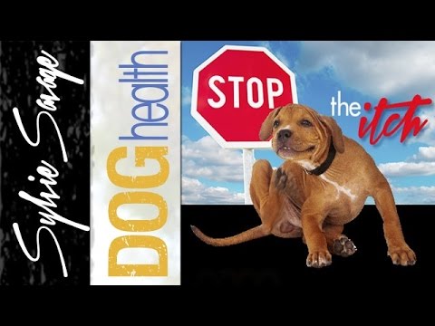 Dry Skin on dogs - How to stop the itch Dry Skin on dogs - How to stop the itch