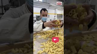 Produzione pasta secca 300 kg/h