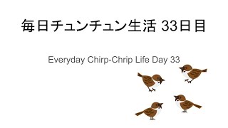 毎日チュンチュン生活33日目 / Everyday Chirp-Chrip Life Day 33