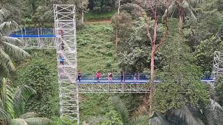 FRIM Forest Skywalk 2020