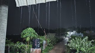 heavy rain in thattankulam area palani