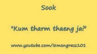 Sook - kum tharm thaeng jai - YouTube.flv