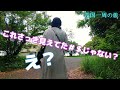 【高知】必見‼️四国最南端足摺岬周辺 絶対おすすめ観光＆グルメ＆ホテル岡山50代夫婦四国一周旅vlog