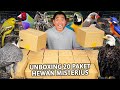 UNBOXING 20 PAKET MISTERIUS ISI HEWAN! BANYAK JACKPOTNYA!