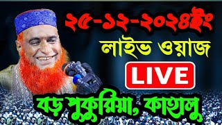 🔴 লাইভ চলছে🔴বড় পুকুরিয়া কাহালু  বগুড়া। আজকের মাহফিল বজলুর রশিদ Bozlur Roshid waz