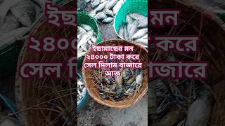 ইছামাছ মন ২৪০০০ টাকা করে সেল দিলাম #reels #viral #shorts #fish #fishmarket