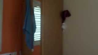 1RK House For Rent 7k in Kundanahalli  Bangalore Refind:42212