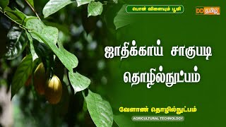 ஜாதிக்காய் சாகுபடி தொழில்நுட்பம்  | Agri Technology