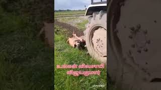 இயந்திரத்தை கொண்டு வரப்பு எவ்வாறு வெட்டலாம்;cutting weeds on footpath of farming land