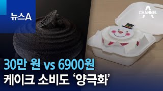 30만 원 vs 6900원…케이크 소비도 ‘양극화’ | 뉴스A